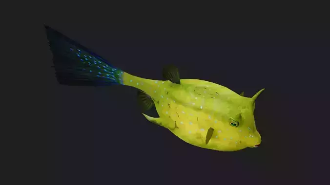 Filefish Low-poly 3D model