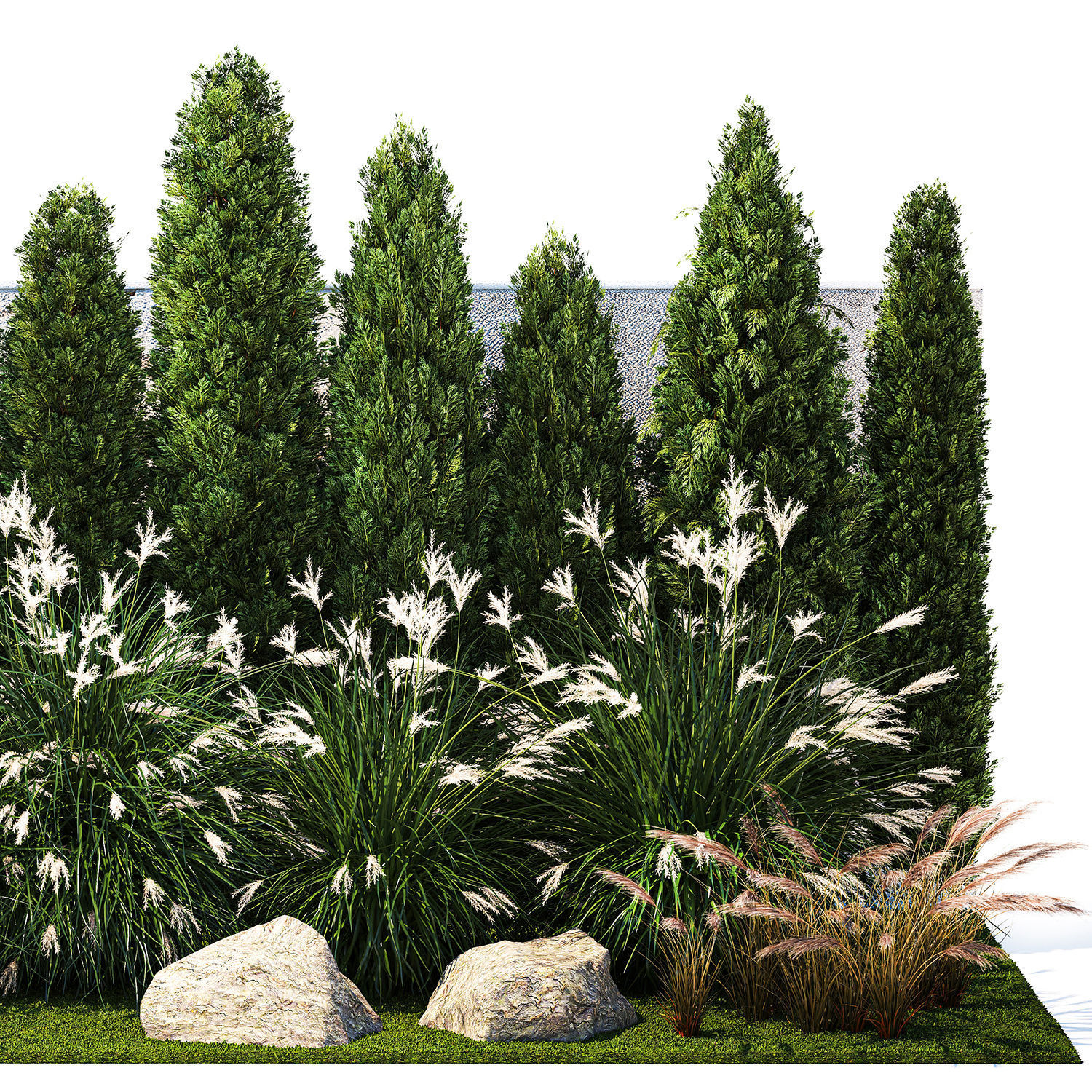 Garden with thuja cypress bushes feather grass Miscanthus grass  3D model_10