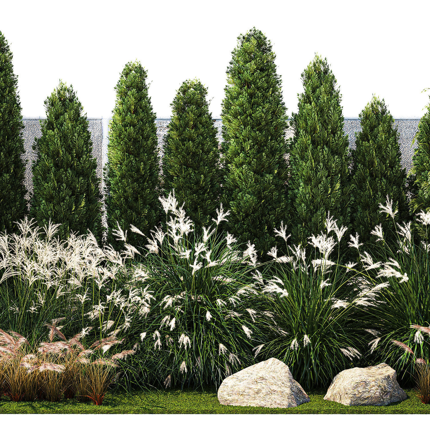 Garden with thuja cypress bushes feather grass Miscanthus grass  3D model_9