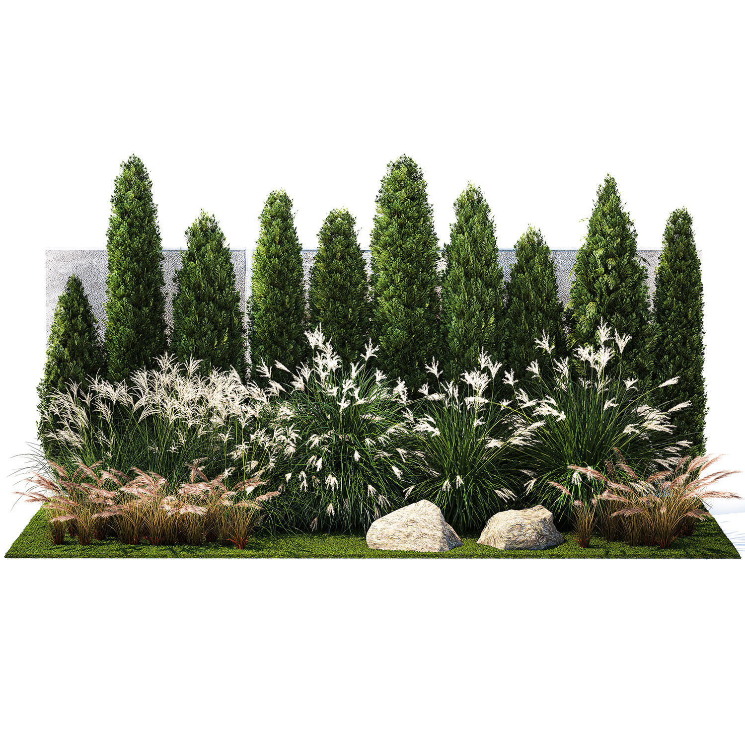 Garden with thuja cypress bushes feather grass Miscanthus grass  3D model_7