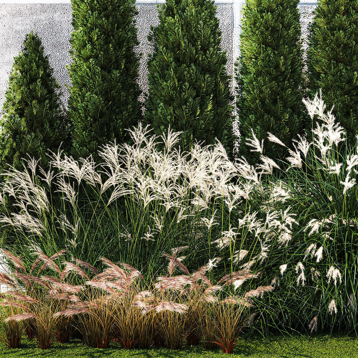 Garden with thuja cypress bushes feather grass Miscanthus grass  3D model_11