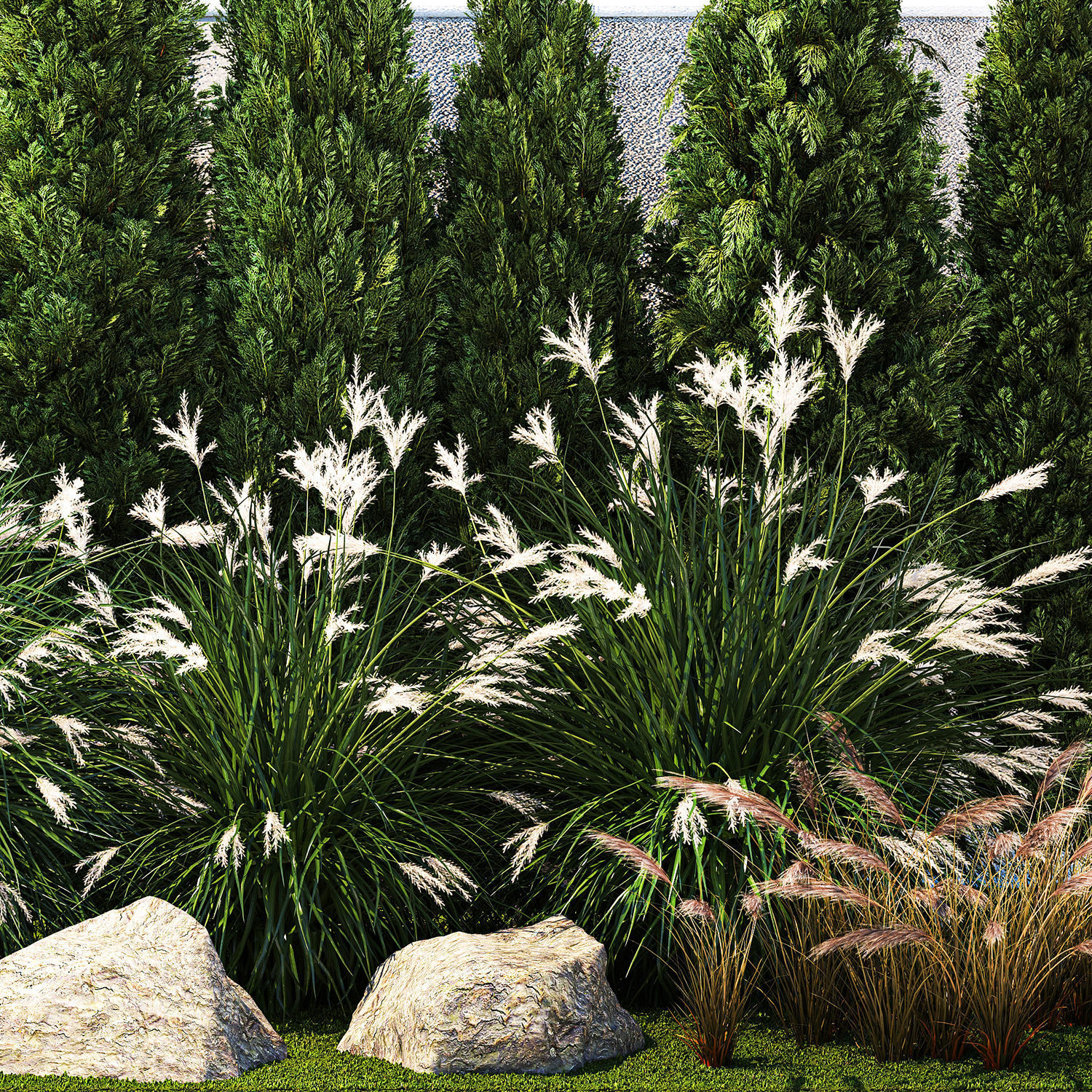 Garden with thuja cypress bushes feather grass Miscanthus grass  3D model_12