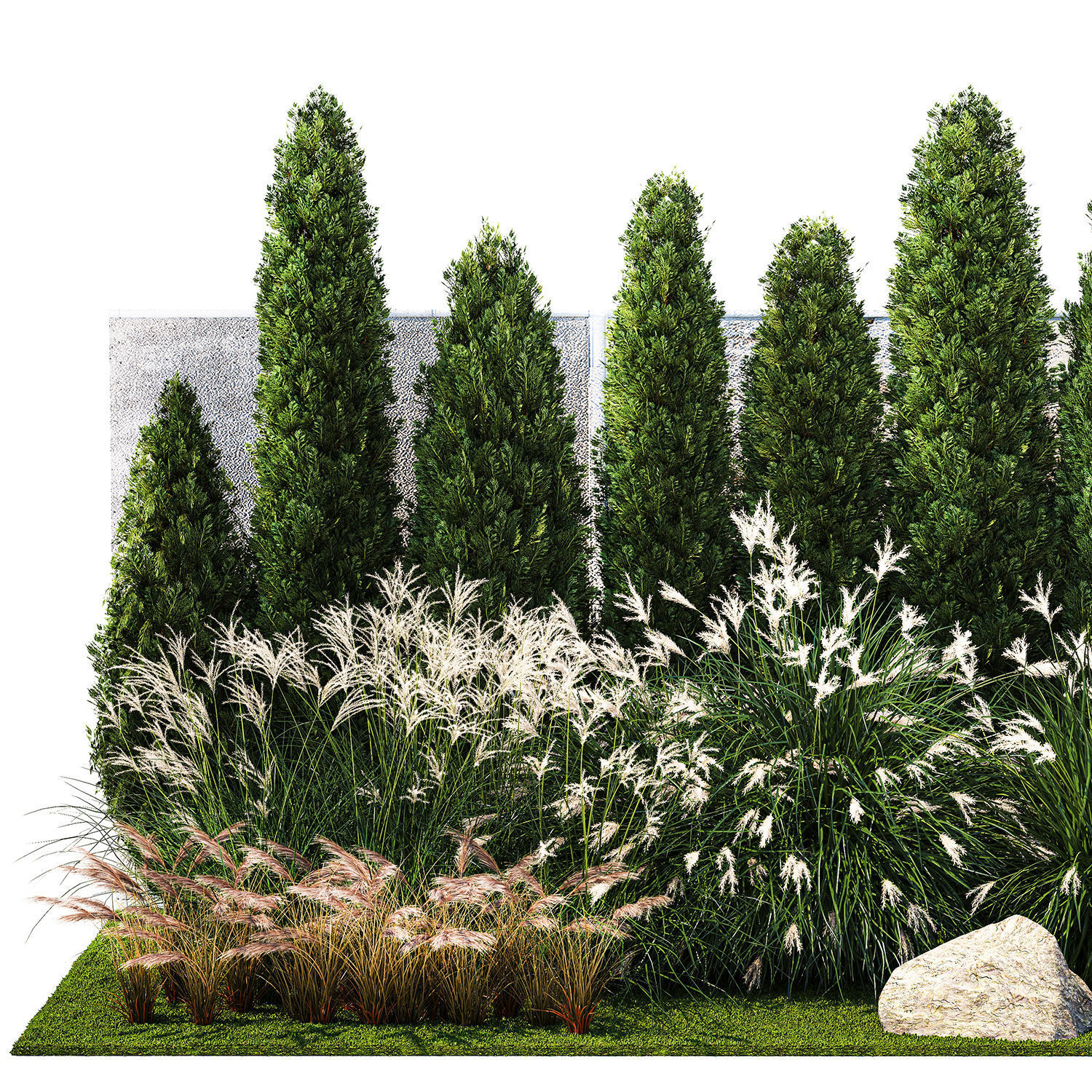 Garden with thuja cypress bushes feather grass Miscanthus grass  3D model_8