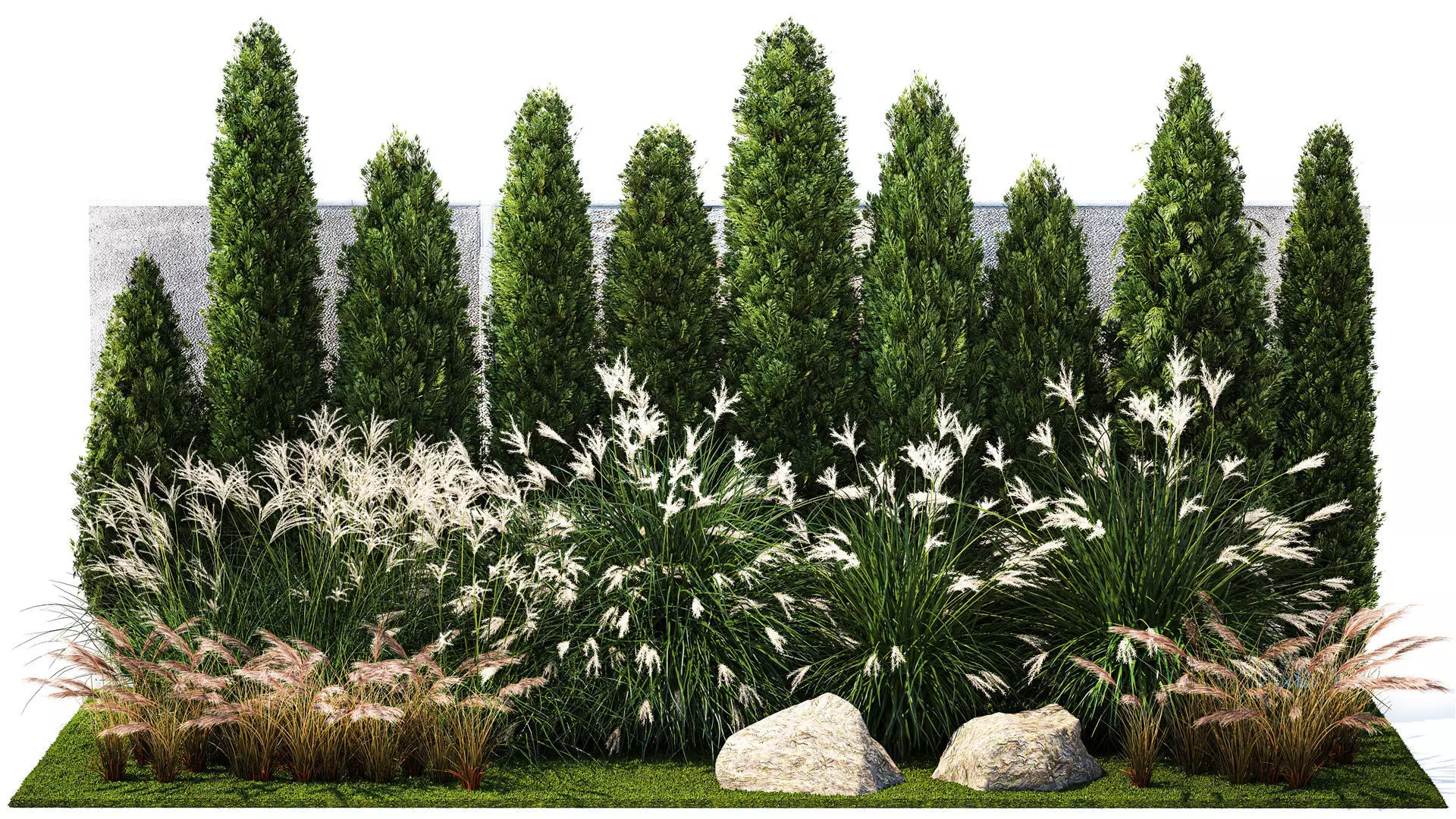 Garden with thuja cypress bushes feather grass Miscanthus grass  3D model_0
