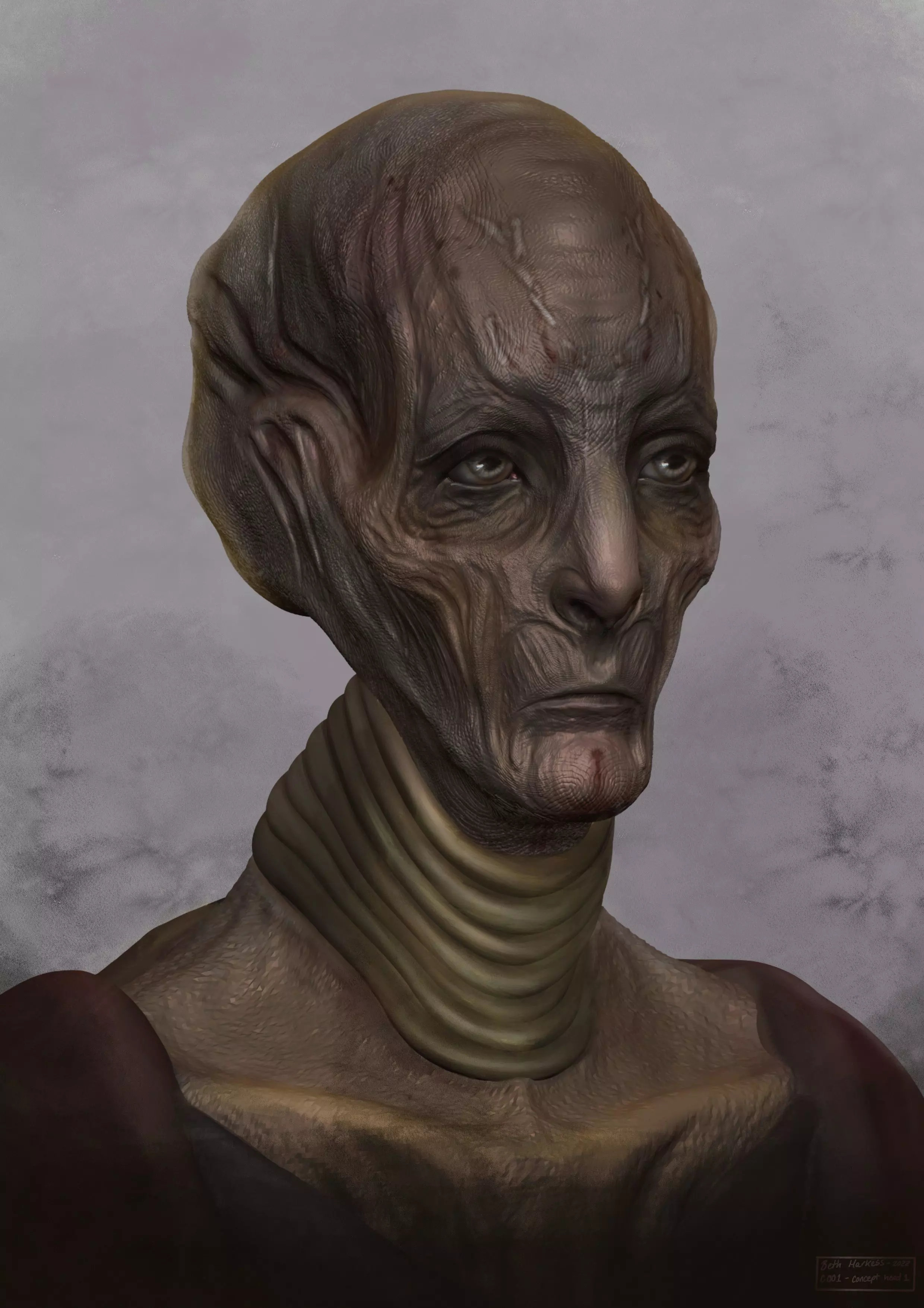 Sci Fi Creature Bust 3D print model_0