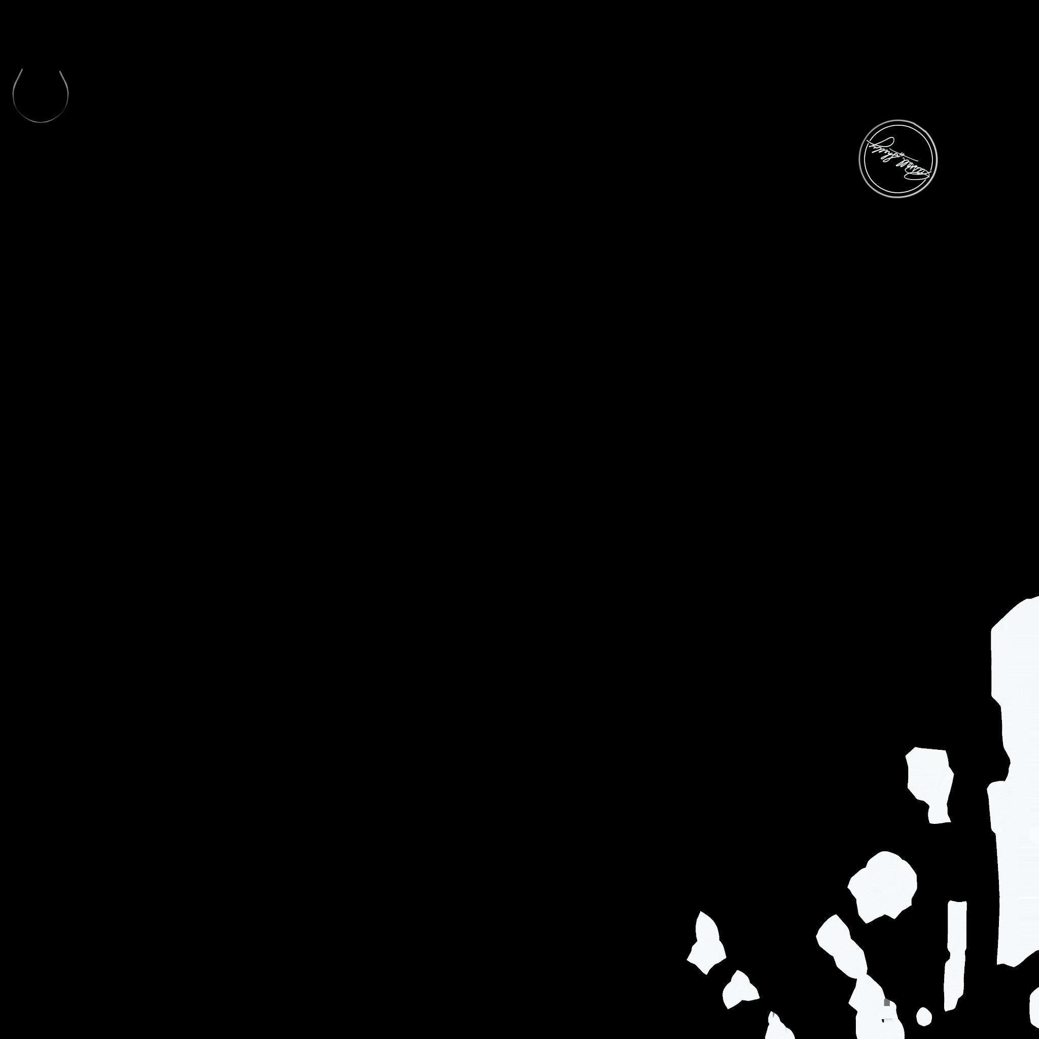 Carroll Shelby Wheel Company CS5 Wheel Gloss Black Mustang 3D model_13