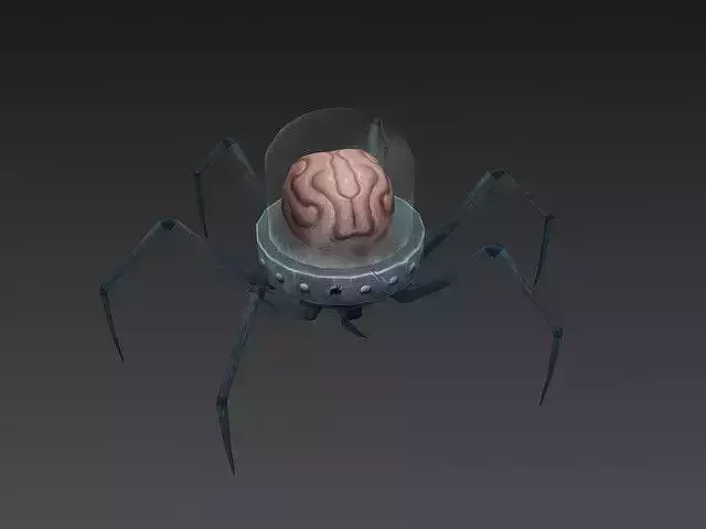 Spider Brain