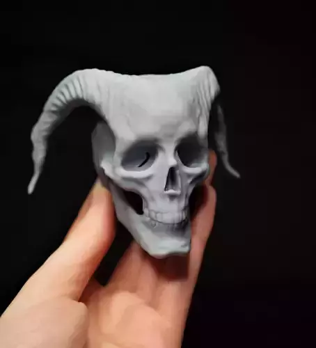 Skull with Ram Horns