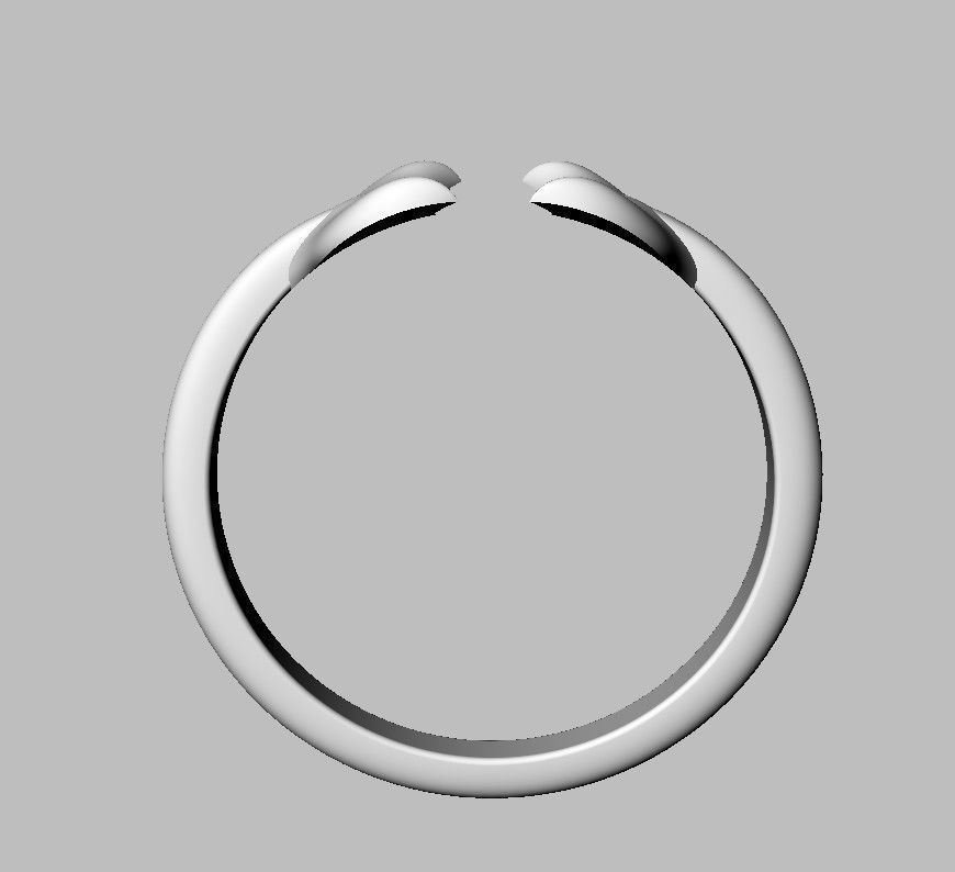 Dolphin Ring 3D print model_20