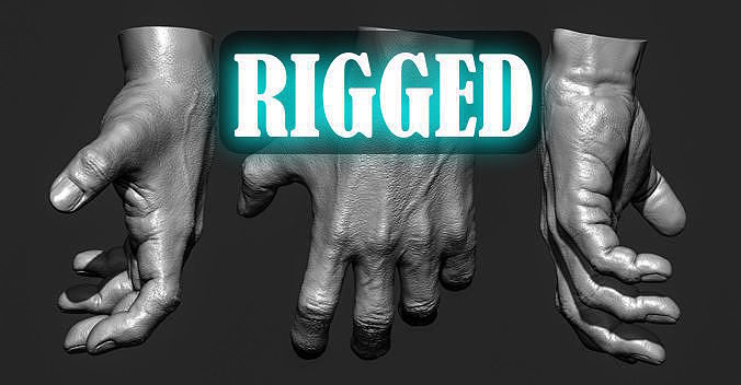 Human hand rigged Low-poly 3D model