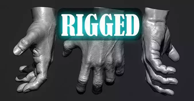 Human hand rigged Low-poly 3D model