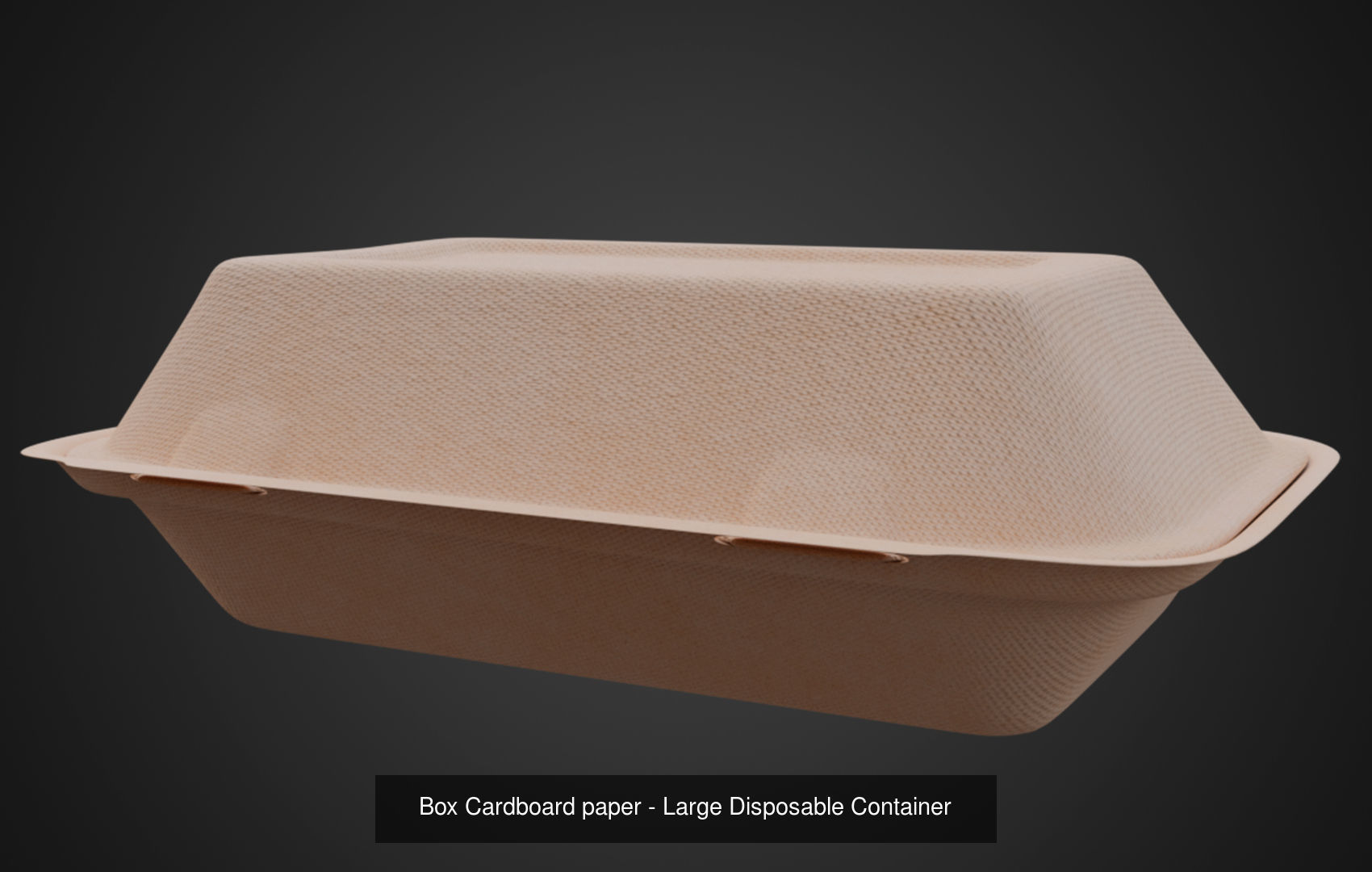 Disposable Food Items Pack  3D Model Collection_7