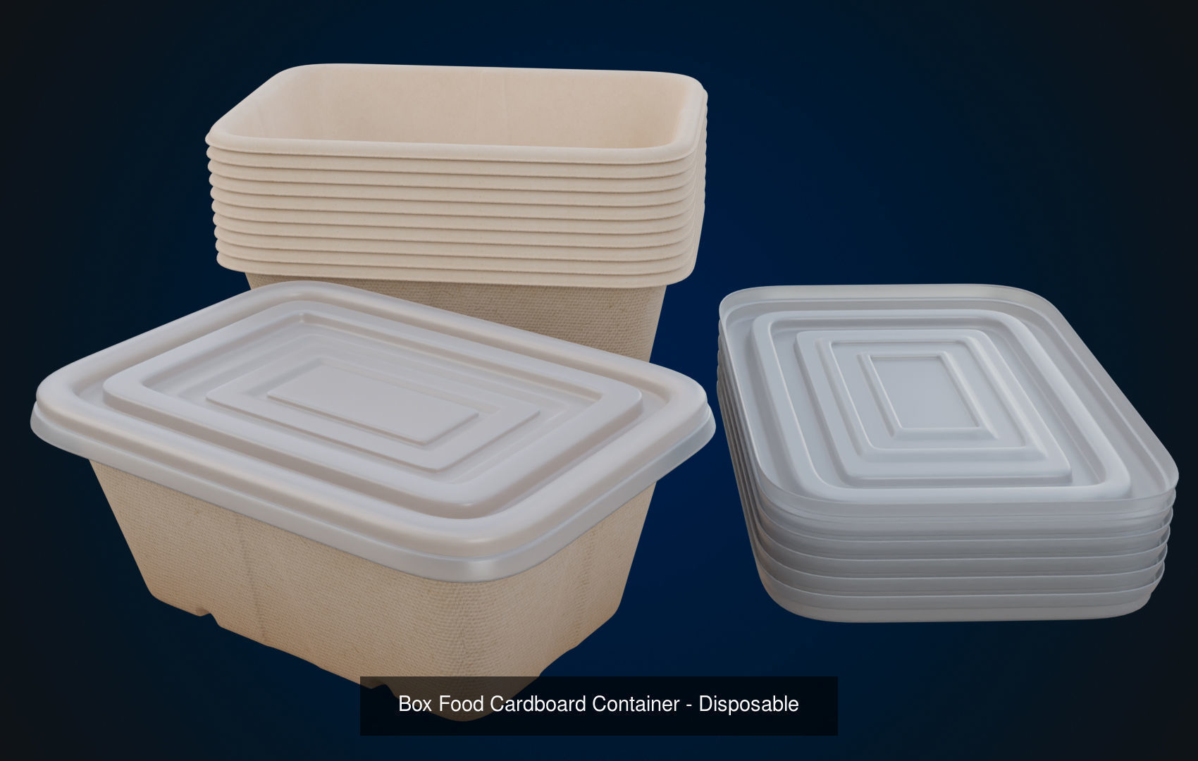 Disposable Food Items Pack  3D Model Collection_8