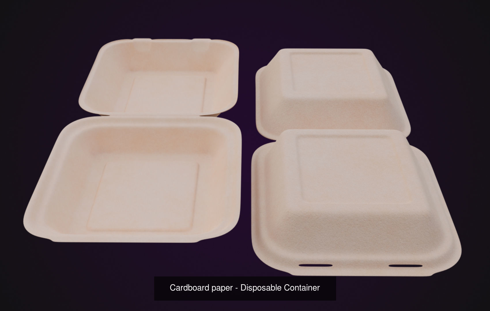 Disposable Food Items Pack  3D Model Collection_4