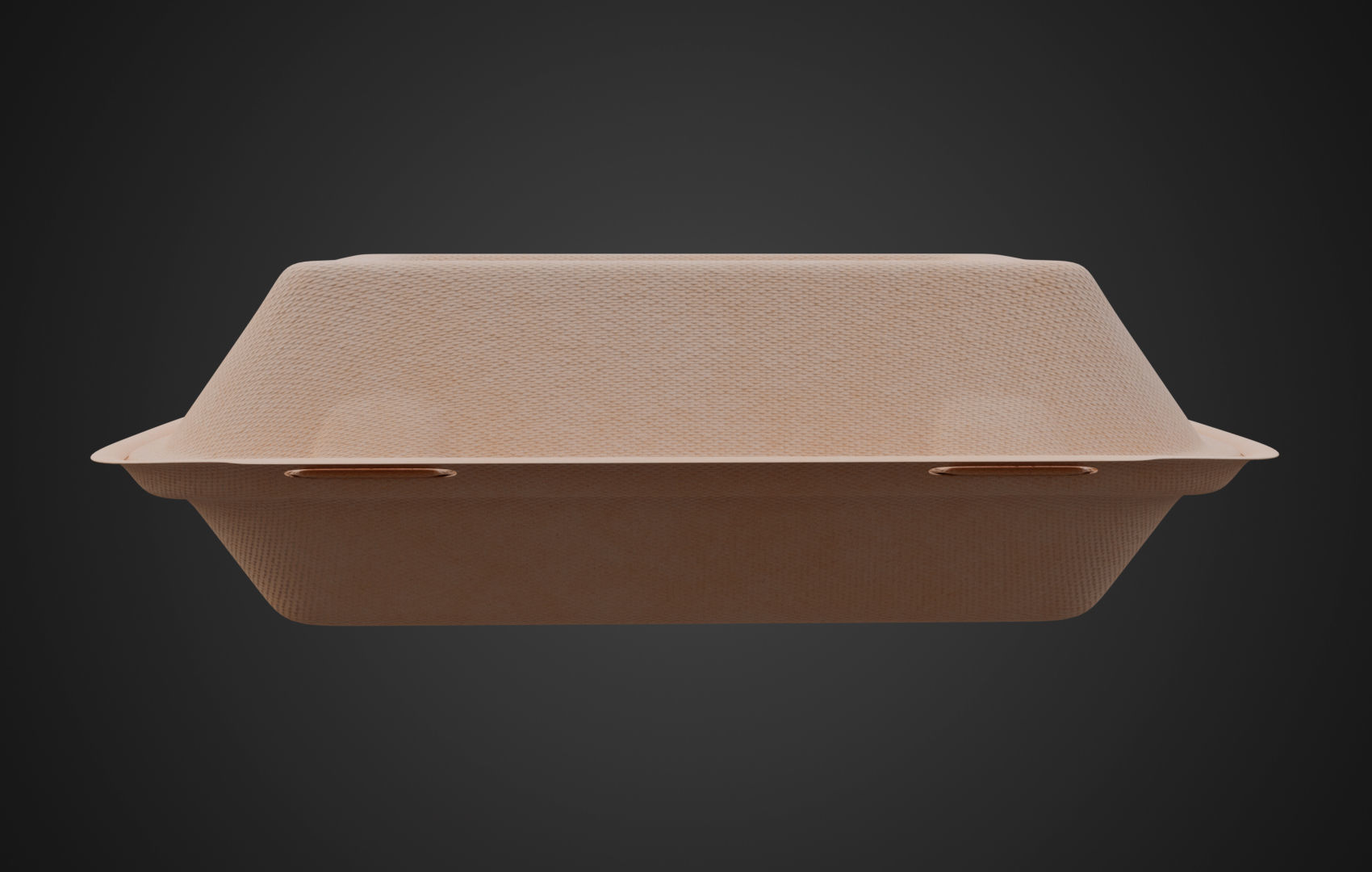 Disposable Food Items Pack  3D Model Collection_43