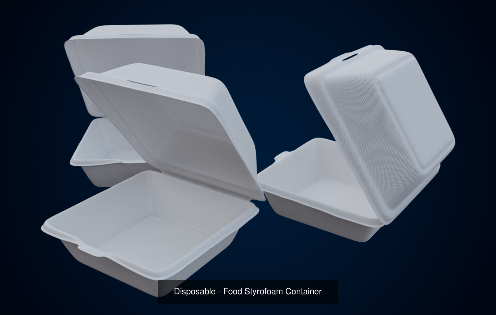 Disposable Food Items Pack  3D Model Collection_1