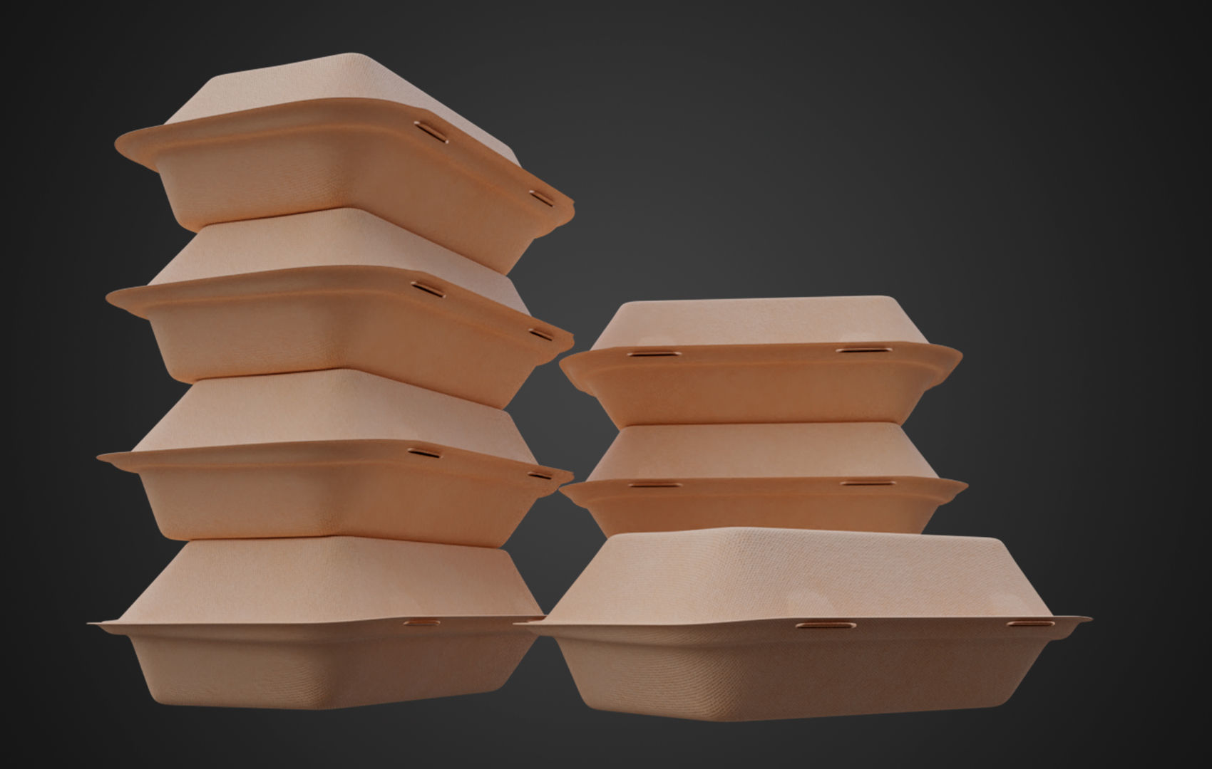 Disposable Food Items Pack  3D Model Collection_44