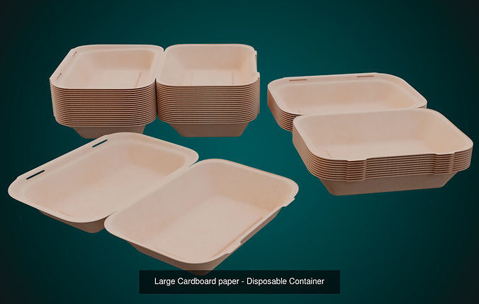 Disposable Food Items Pack 6