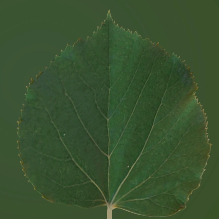 Earthy Bar table 3D model_21