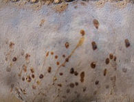 Earthy Bar table 3D model_45