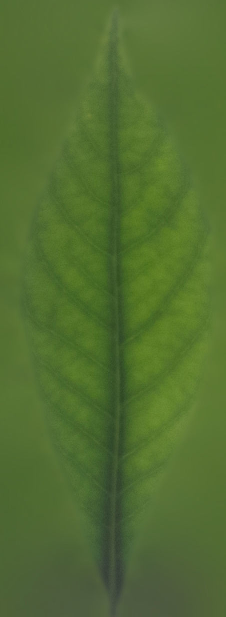 Earthy Bar table 3D model_41