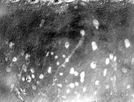 Earthy Bar table 3D model_46