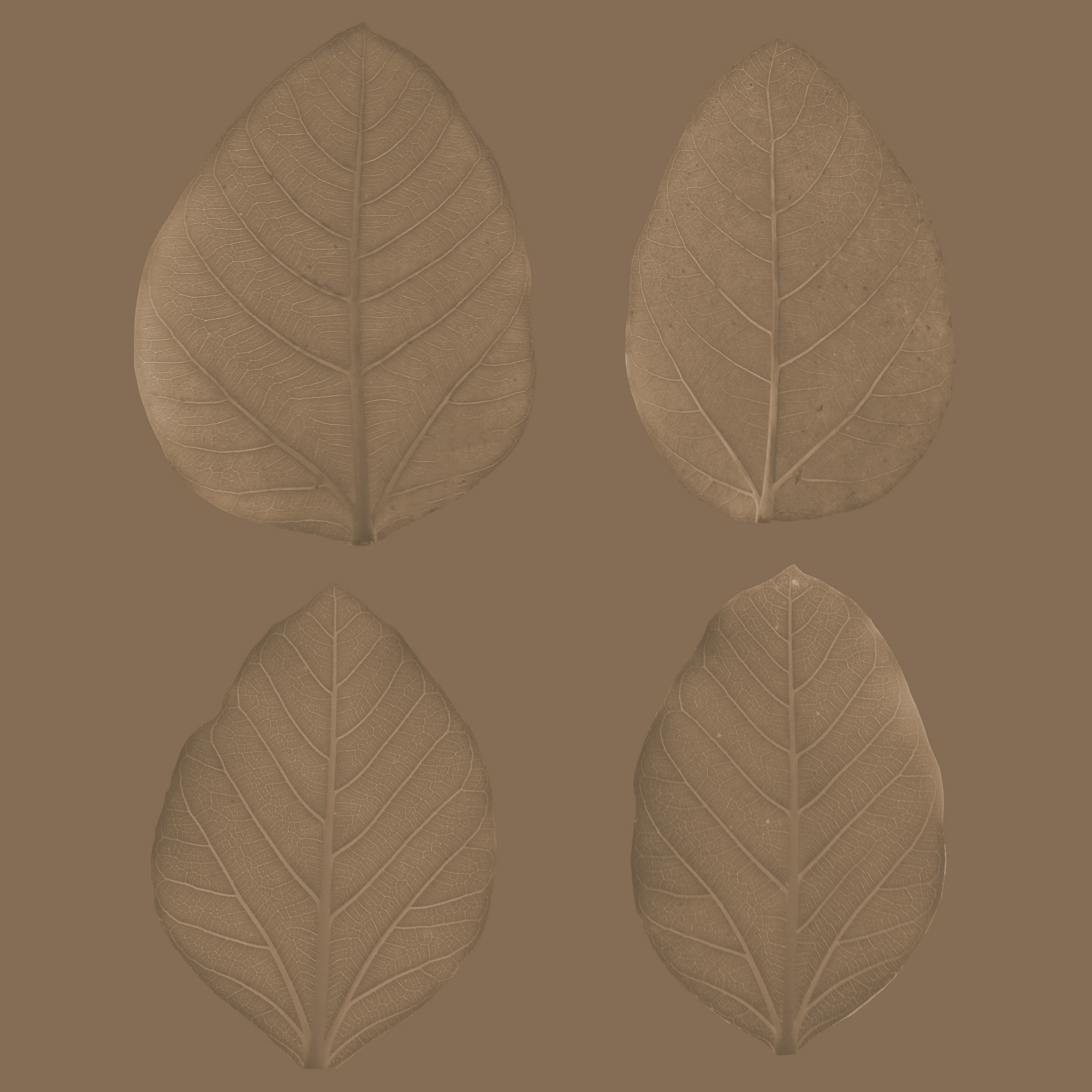 Earthy Bar table 3D model_37