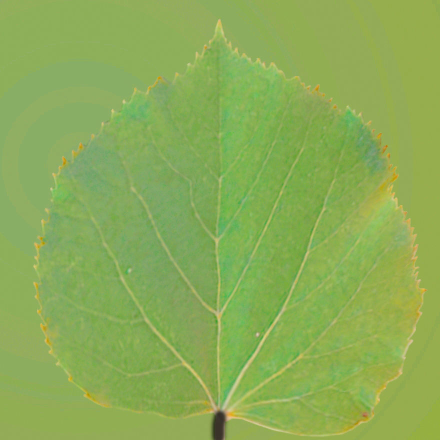 Earthy Bar table 3D model_23