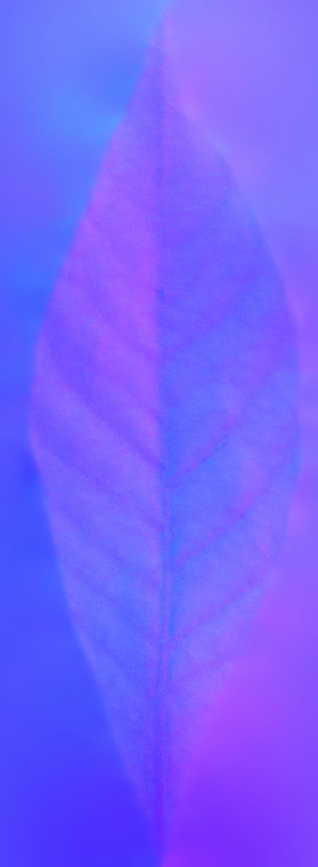 Earthy Bar table 3D model_39