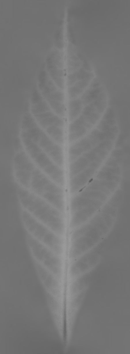 Earthy Bar table 3D model_40