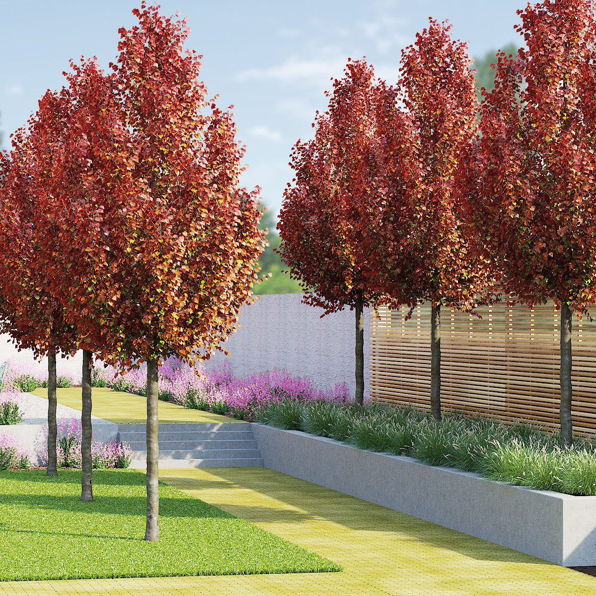 Pyrus calleryana chanticlee autumn 3D model_2