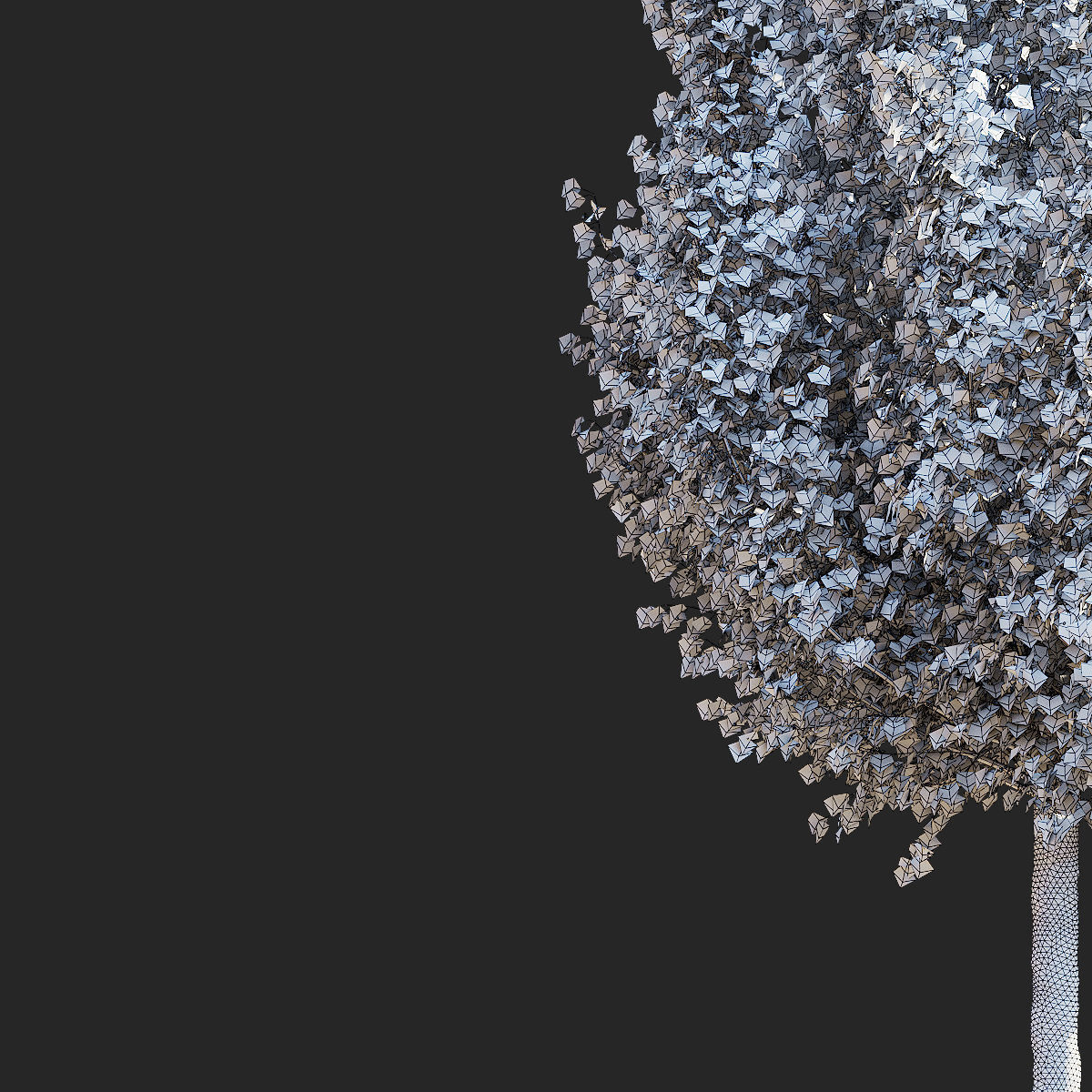 Pyrus calleryana chanticlee autumn 3D model_12