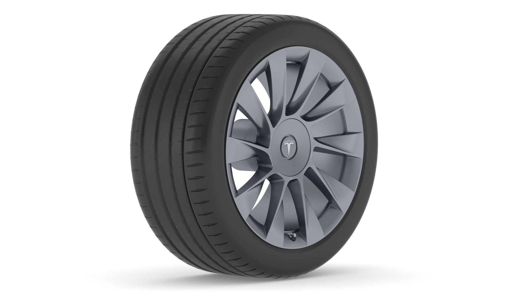Tesla Car Tire 3D model_1
