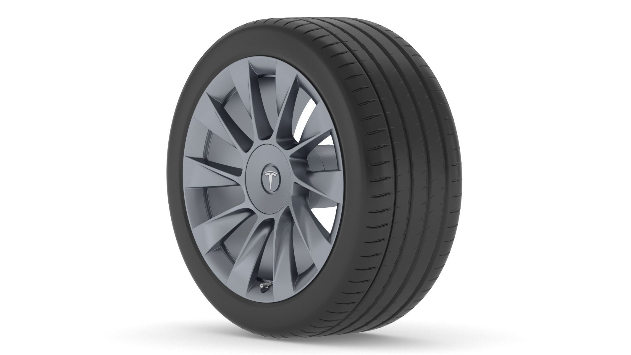Tesla Car Tire 3D model_4