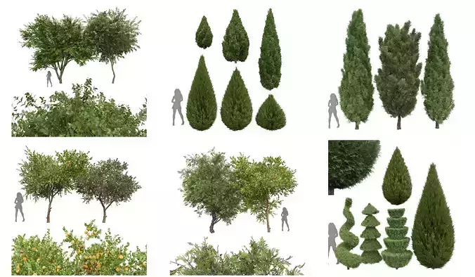 6 Different SETS of Tree SET VOL22 3D Model Collection