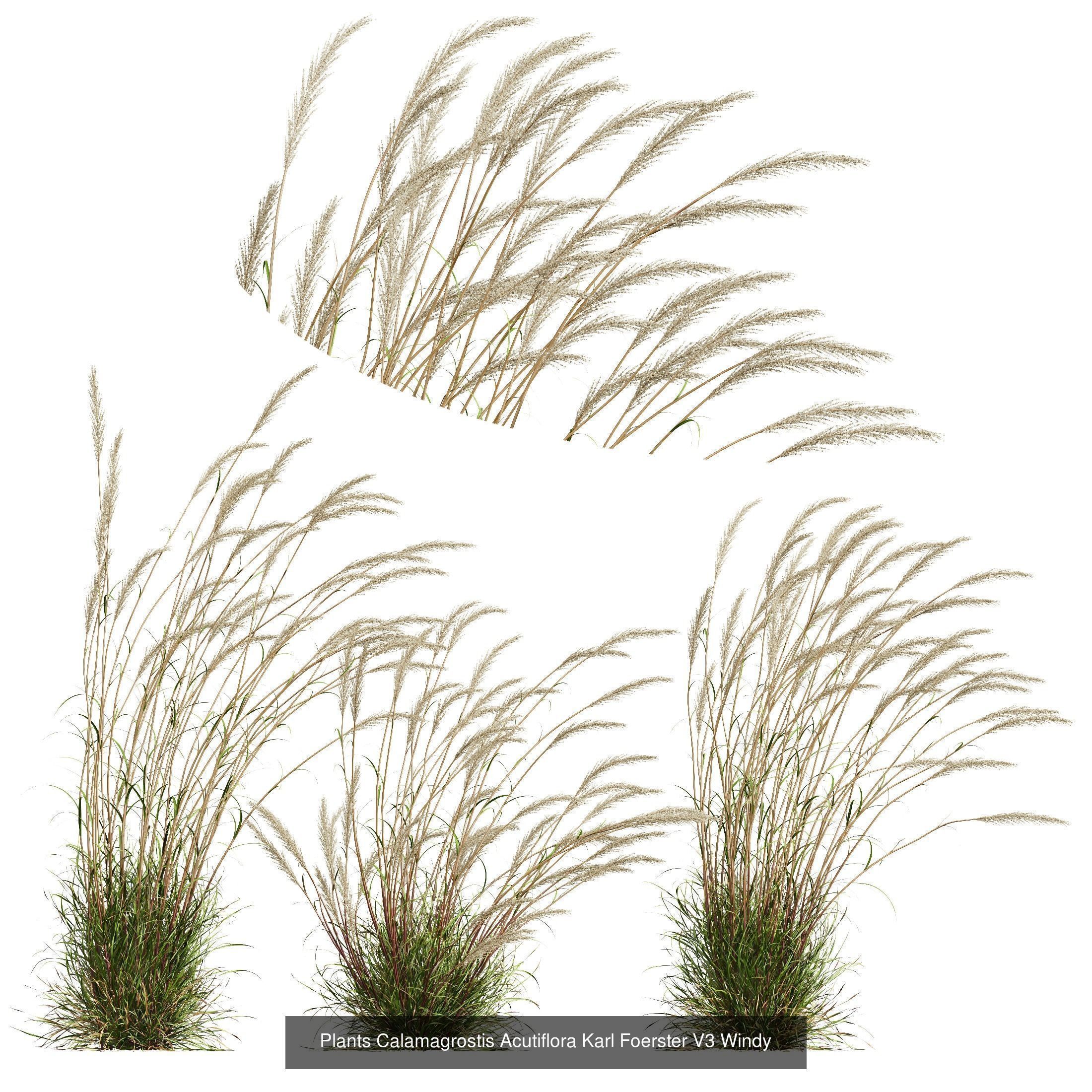 6 Different SETS of Grass SET VOL23 3D Model Collection_4