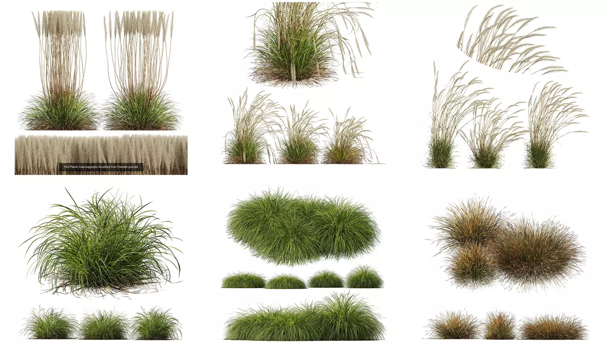 6 Different SETS of Grass SET VOL23 3D Model Collection_0