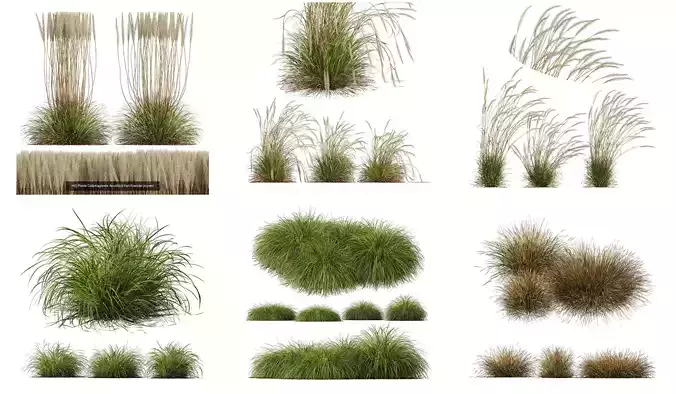 6 Different SETS of Grass SET VOL23 3D Model Collection