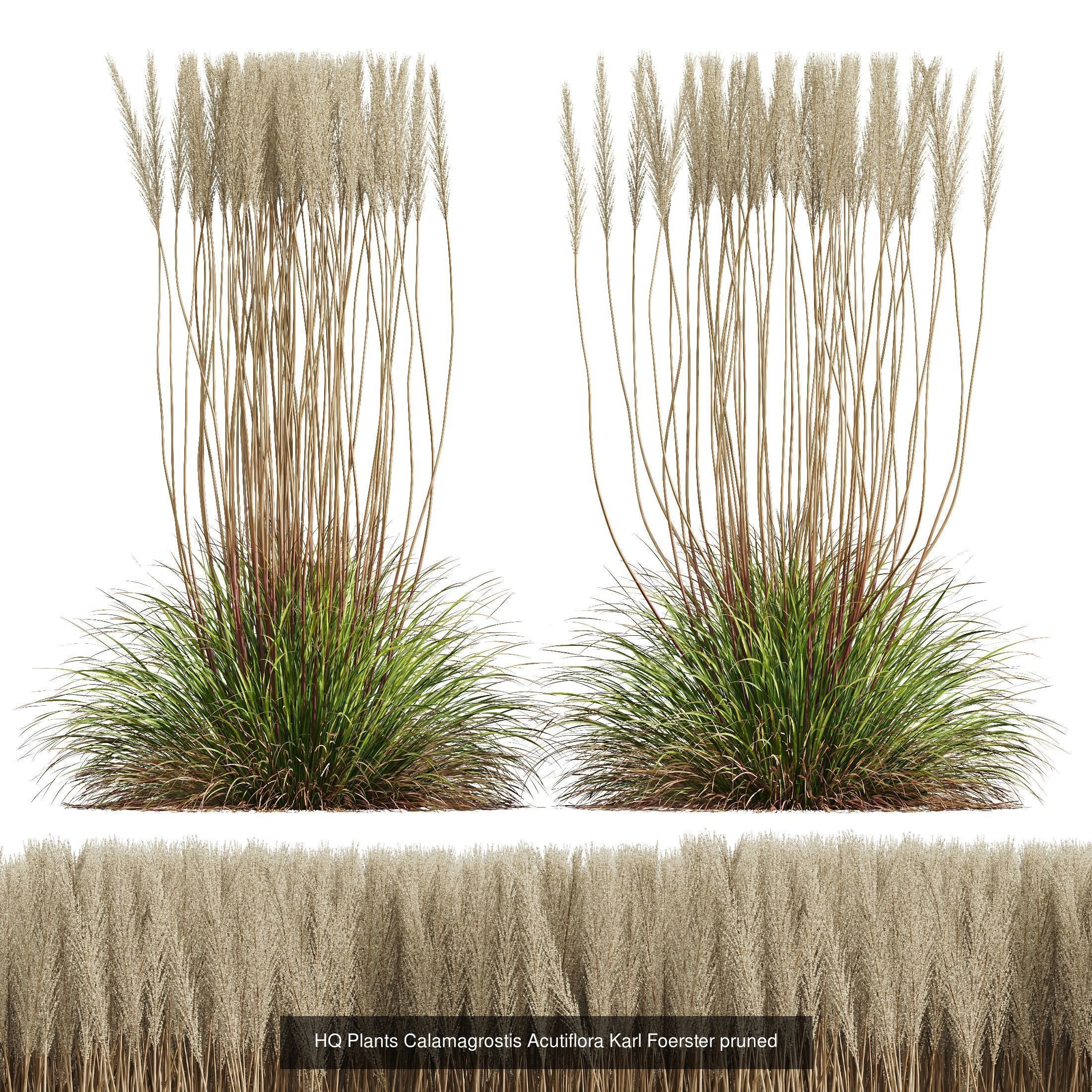6 Different SETS of Grass SET VOL23 3D Model Collection_1