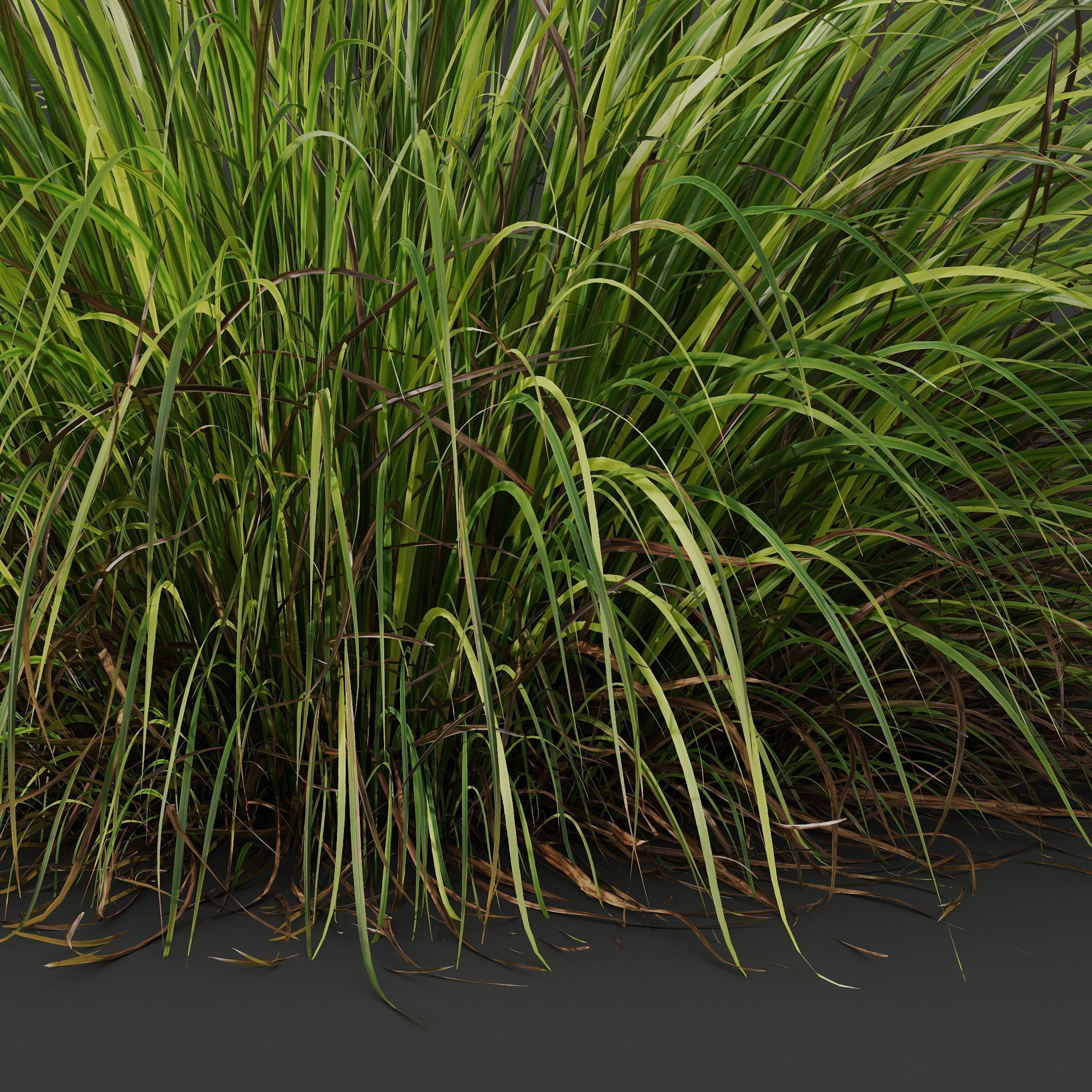 6 Different SETS of Grass SET VOL23 3D Model Collection_11