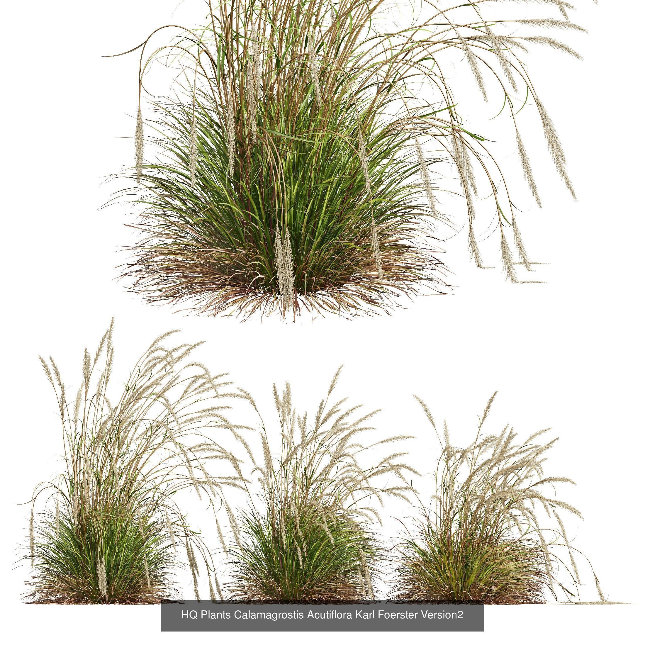 6 Different SETS of Grass SET VOL23 3D Model Collection_2