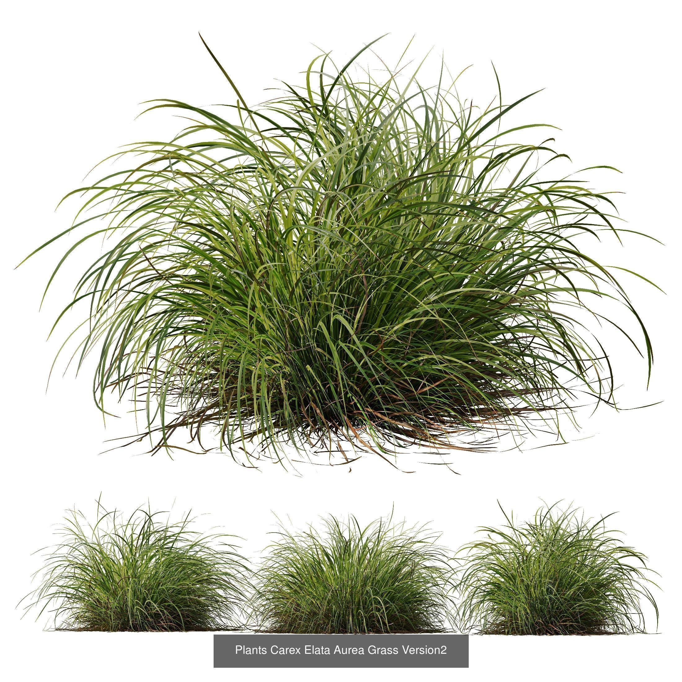 6 Different SETS of Grass SET VOL23 3D Model Collection_3