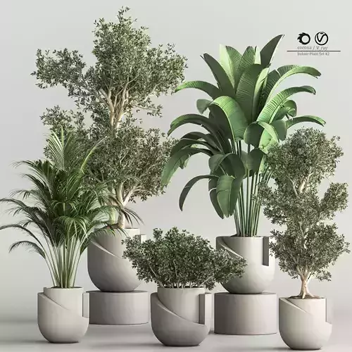 Indoor Plant Set 47