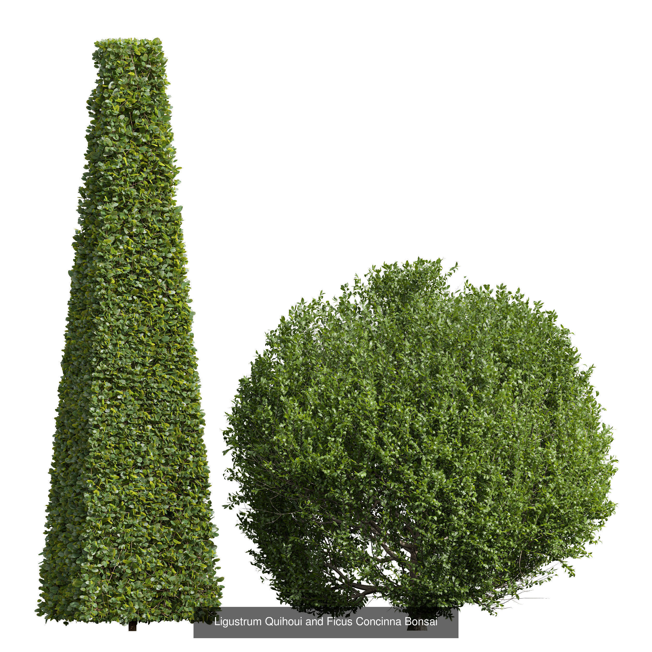 6 Different SETS of Bush SET VOL24 3D Model Collection_7