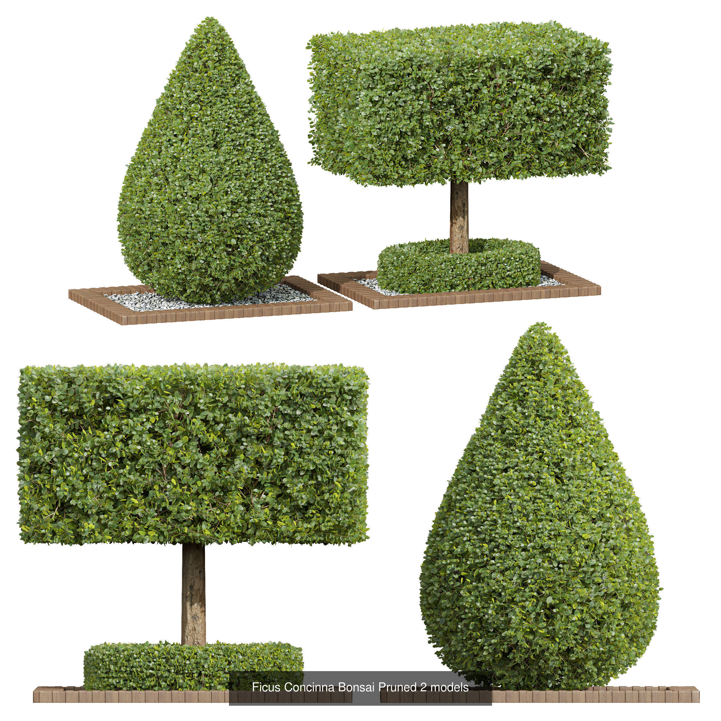 6 Different SETS of Bush SET VOL24 3D Model Collection_6