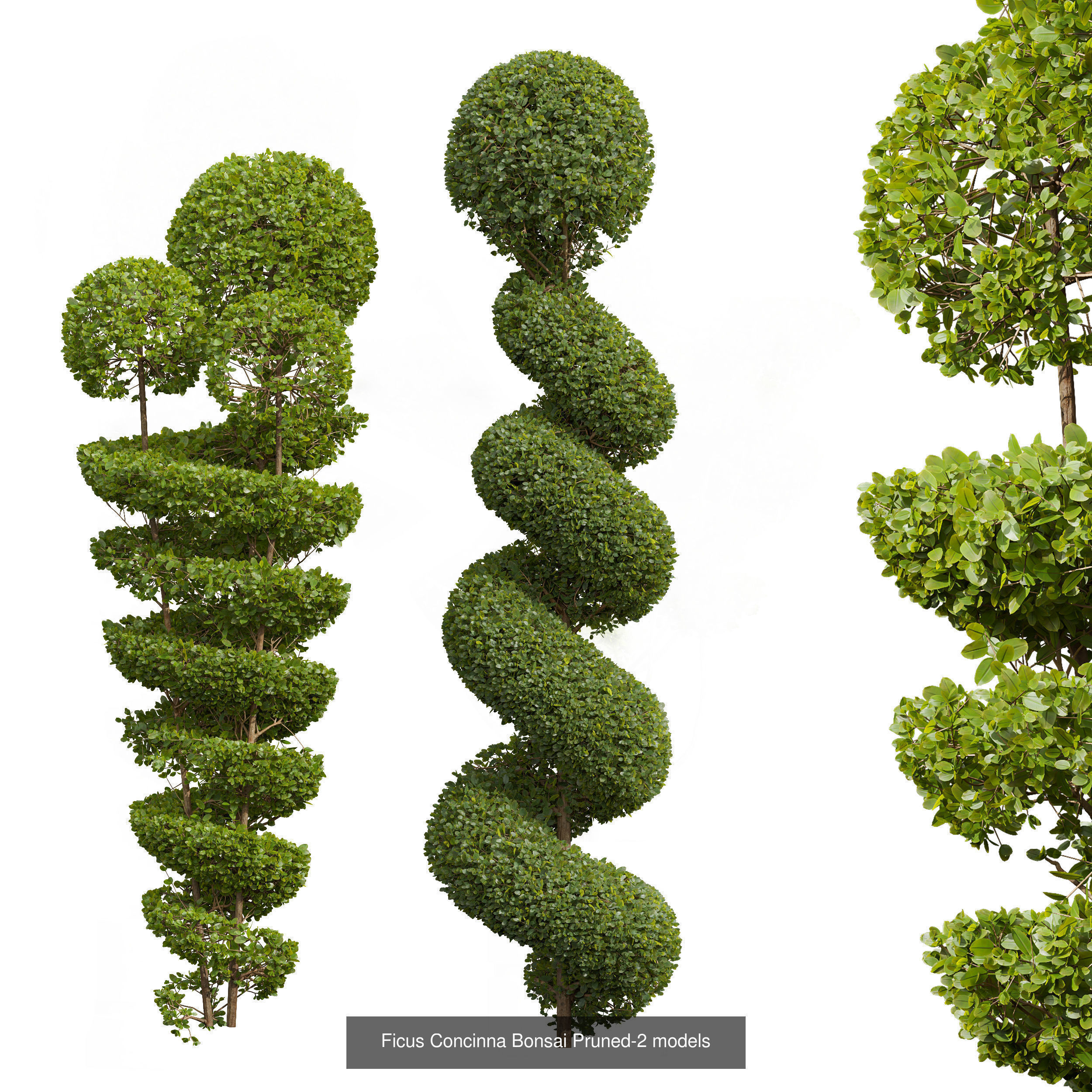 6 Different SETS of Bush SET VOL24 3D Model Collection_5