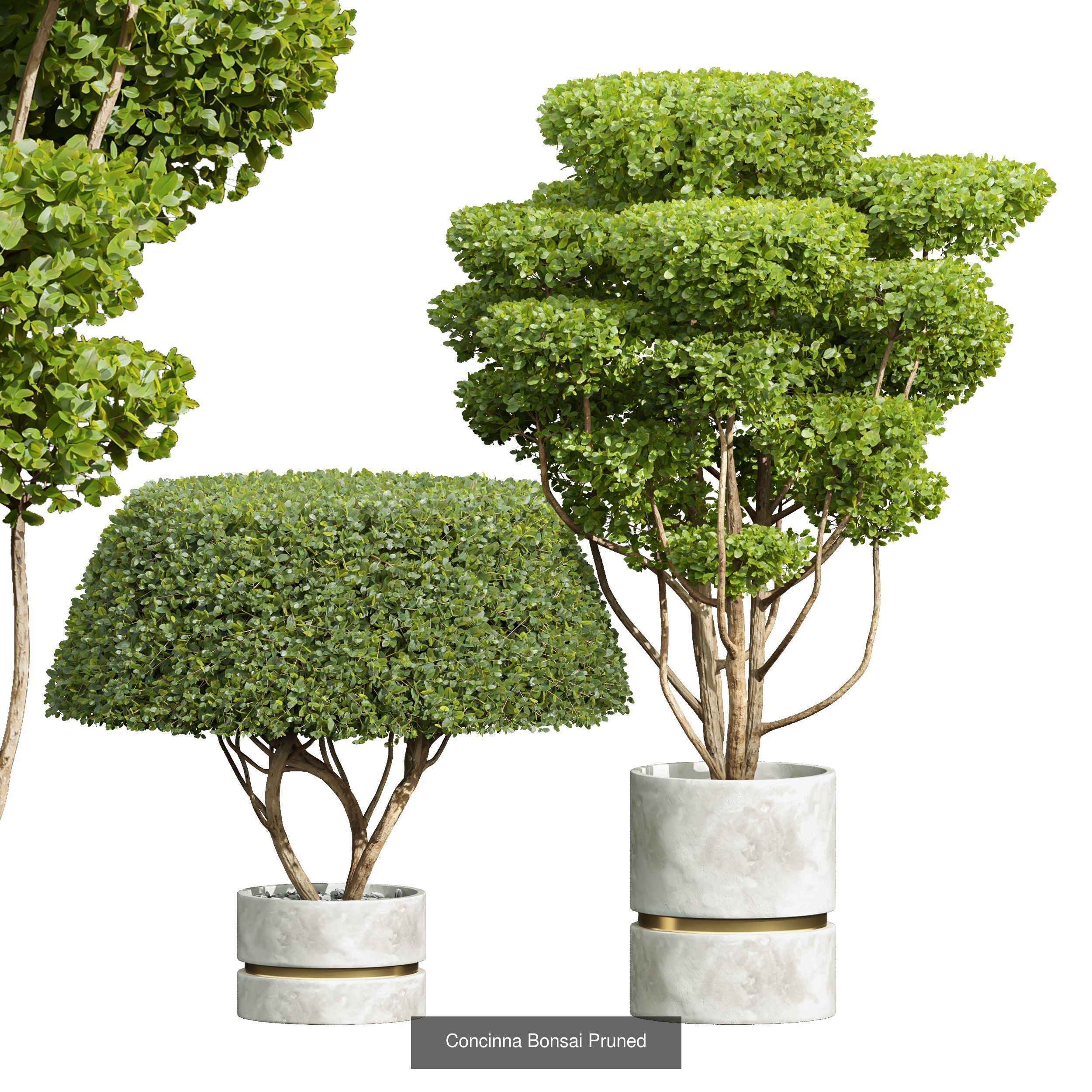 6 Different SETS of Bush SET VOL24 3D Model Collection_2