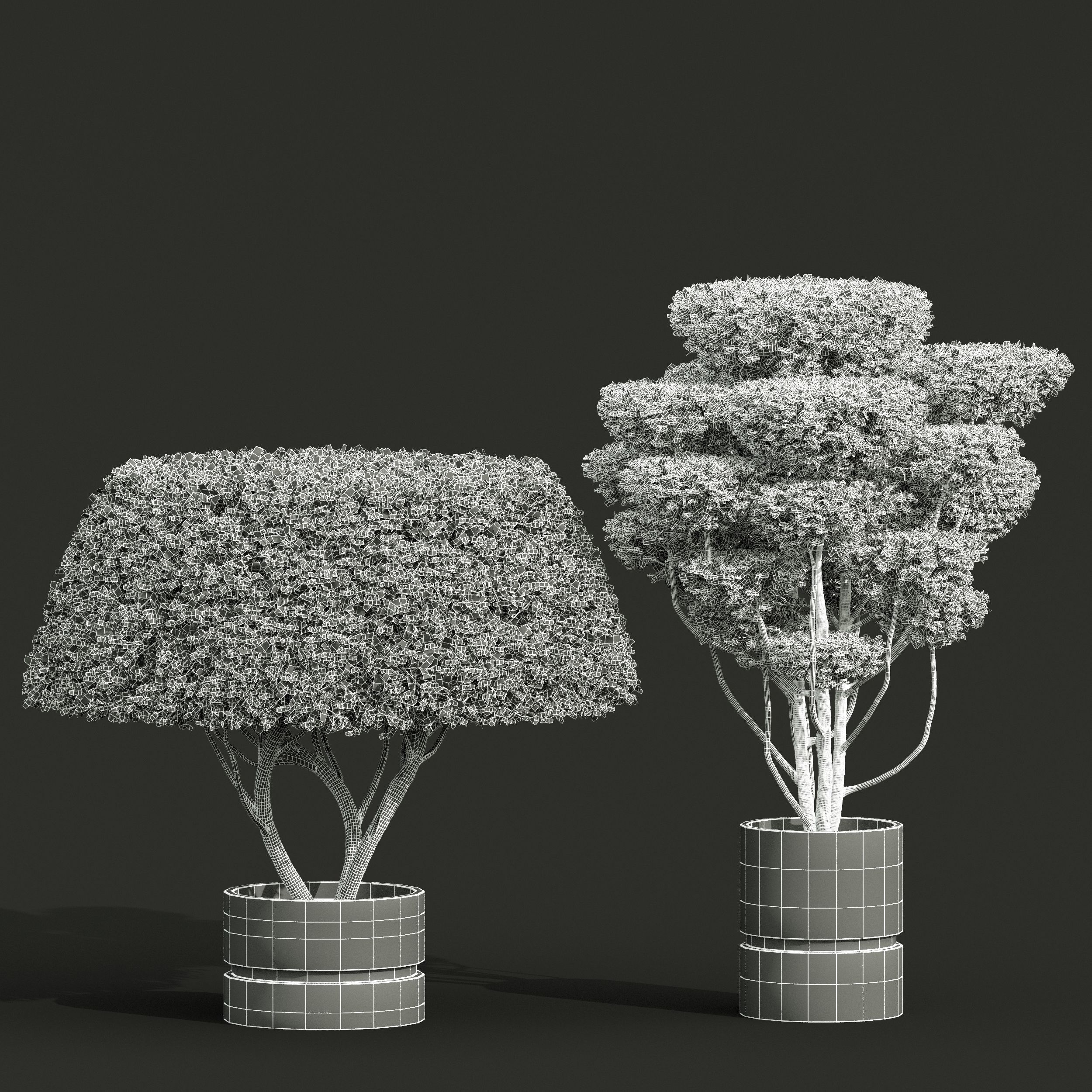 6 Different SETS of Bush SET VOL24 3D Model Collection_19