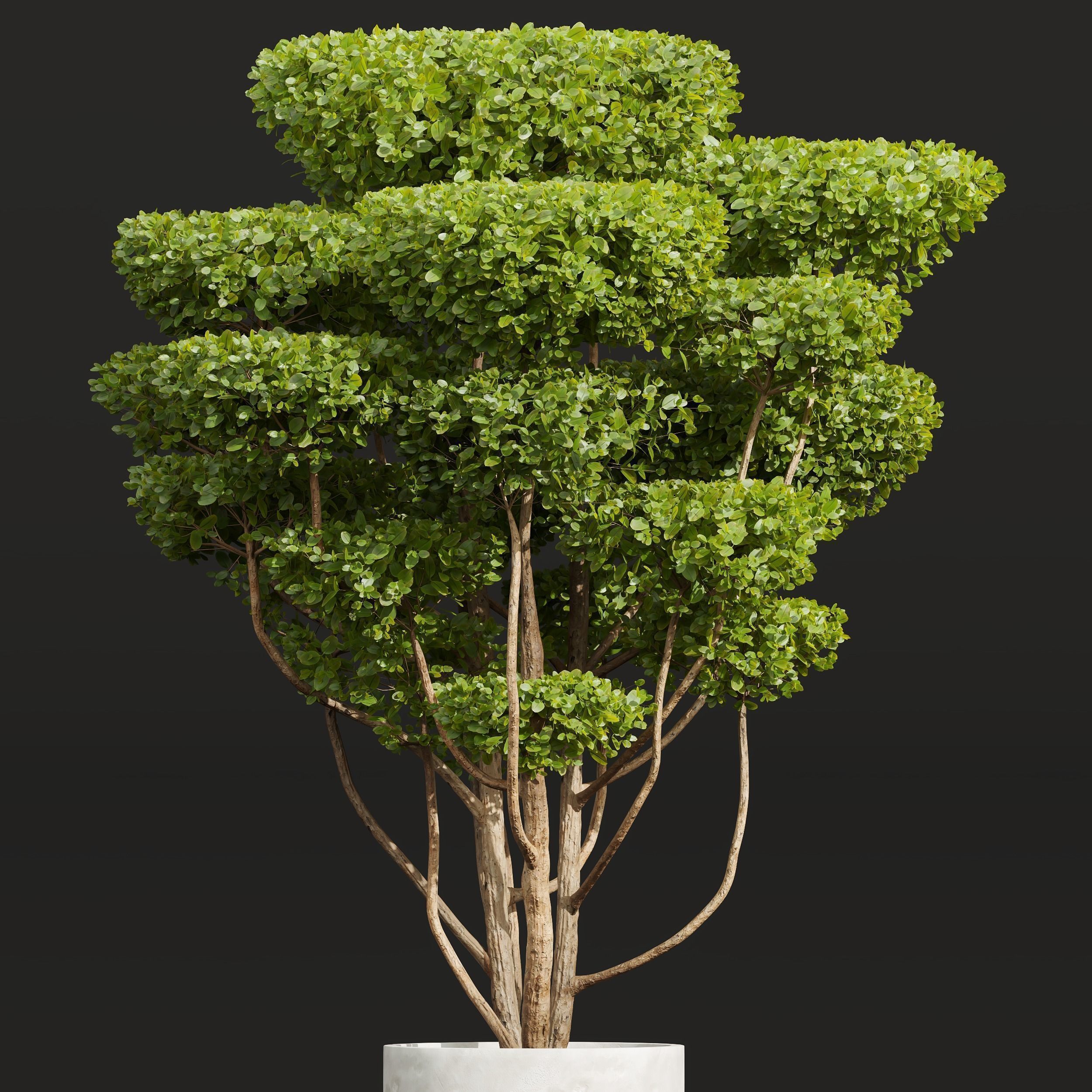 6 Different SETS of Bush SET VOL24 3D Model Collection_8