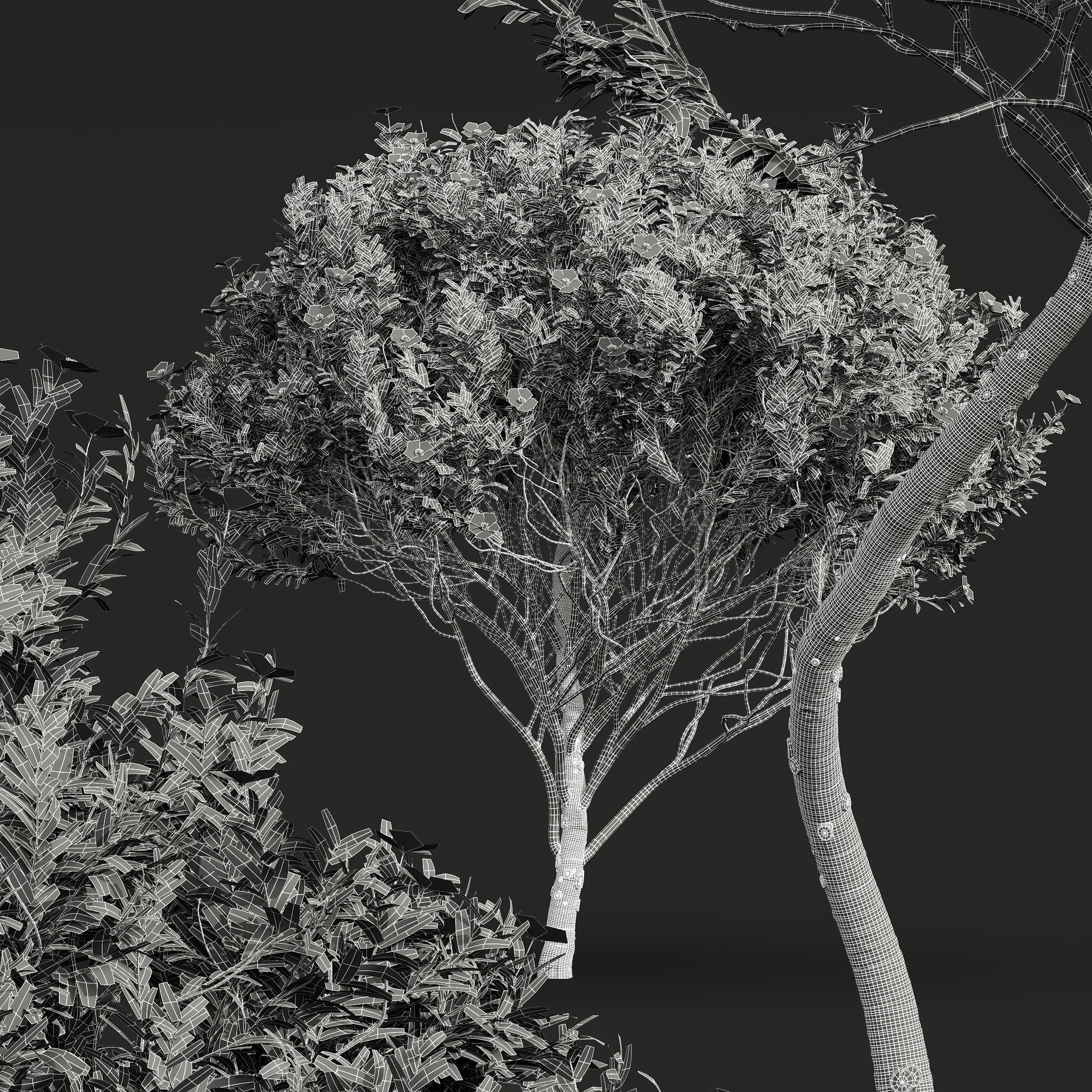 6 Different SETS of Bush SET VOL24 3D Model Collection_17